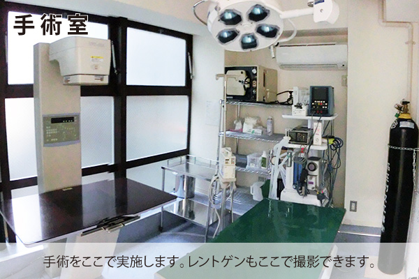 豊中 動物病院 手術室